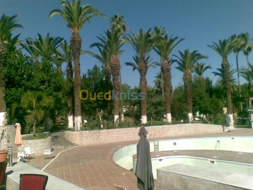 Location vacances Appartement F2 Tlemcen Tlemcen