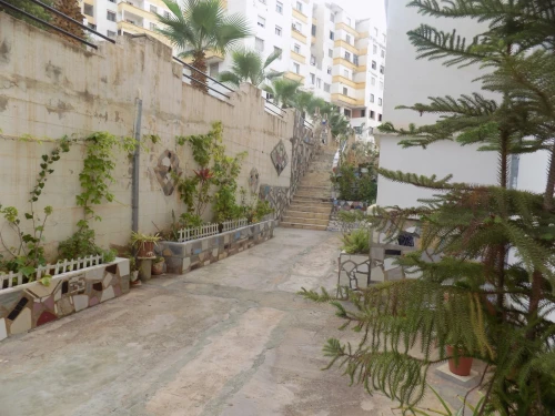 Vente Appartement Tipaza Douaouda