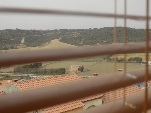 Vente Appartement Tipaza Douaouda