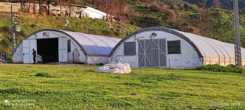 Vente Terrain Agricole Blida Guerrouaou