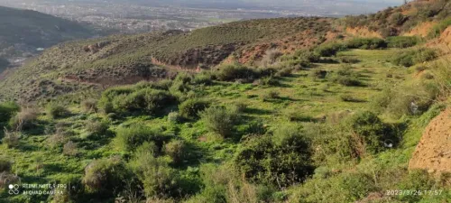 Vente Terrain Agricole Blida Guerrouaou