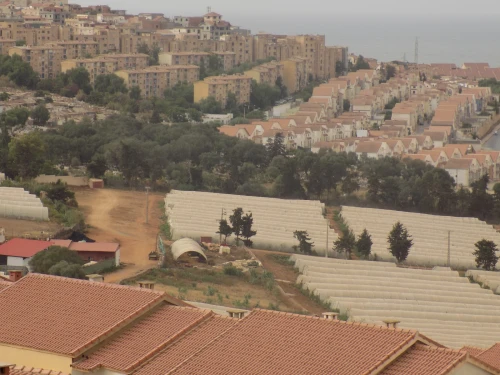 Vente Appartement Tipaza Douaouda