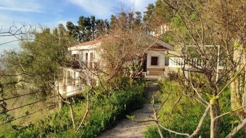 Vente Terrain Agricole Blida Guerrouaou