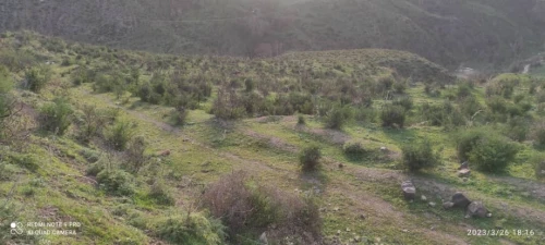 Vente Terrain Agricole Blida Guerrouaou