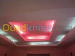 Faux plafond . Cloison .revetement mur