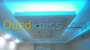 Faux plafond . Cloison .revetement mur