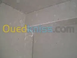 Faux plafond . Cloison .revetement mur