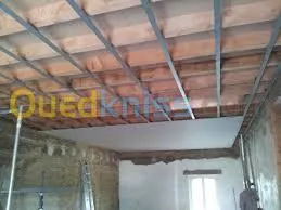 Faux plafond . Cloison .revetement mur