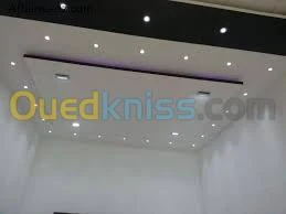 Faux plafond . Cloison .revetement mur