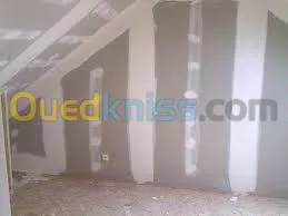 Faux plafond . Cloison .revetement mur