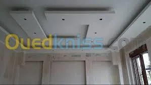 Faux plafond . Cloison .revetement mur
