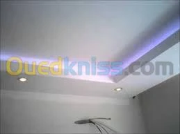 Faux plafond . Cloison .revetement mur