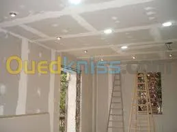 Faux plafond . Cloison .revetement mur