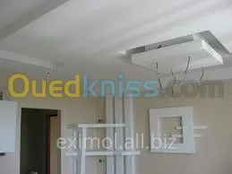 Faux plafond . Cloison .revetement mur