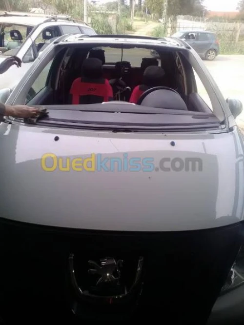 vitrage pare brise renault Peugeot 2