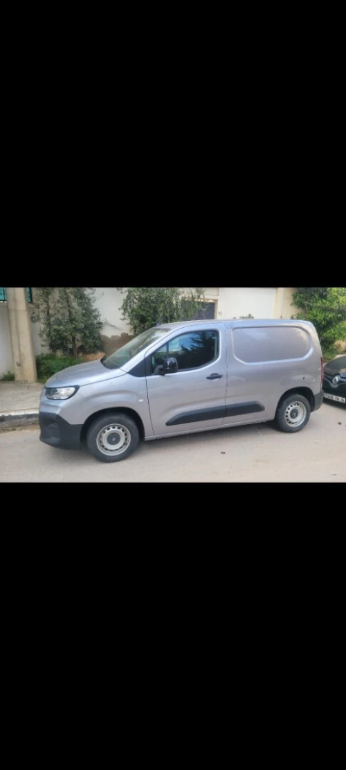 Transport De marchandises & Livraison Des colliers Disponible avec véhicule utilitaire (Fiat Doblo)