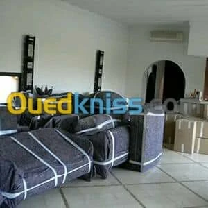 DEMENAGEMENT PARTICULIER ENTREPRISE--