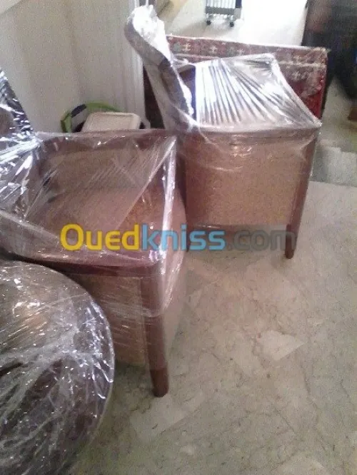 DEMENAGEMENT PARTICULIER ENTREPRISE--