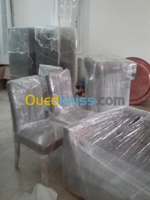 DEMENAGEMENT PARTICULIER ENTREPRISE--