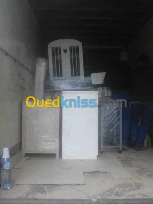 DEMENAGEMENT PARTICULIER ENTREPRISE--