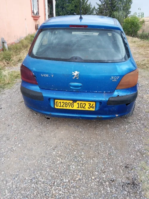 Peugeot 307 2002 XT