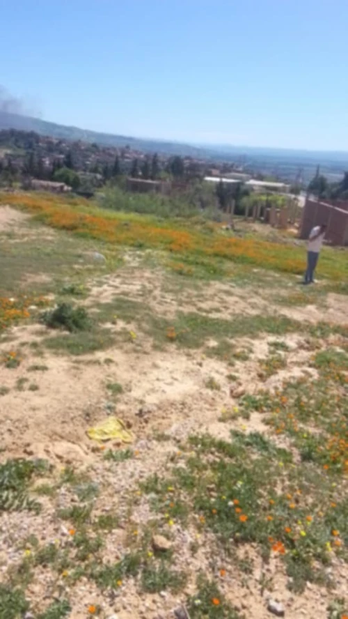Vente Terrain Aïn Defla Khemis miliana