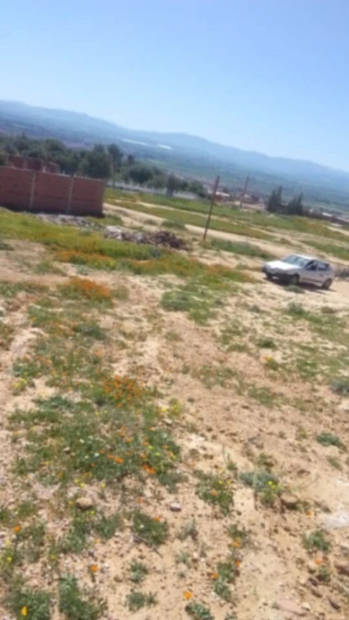 Vente Terrain Aïn Defla Khemis miliana