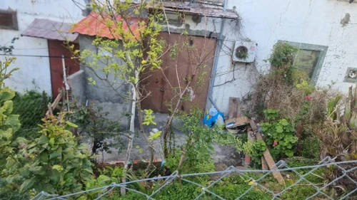 Vente Local Jijel El aouana