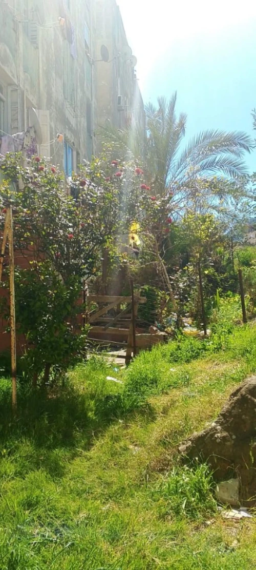 Vente Local Jijel El aouana