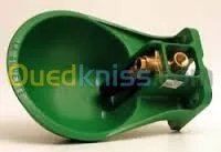 genisses et taurillons