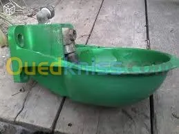 genisses et taurillons