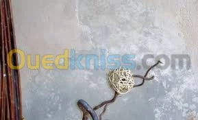 la peinture décoratife 