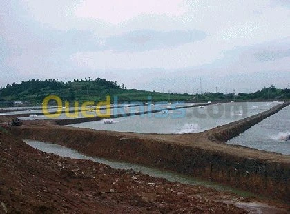 GEOMEMBRANE POUR BASSIN D'AQUACULTURE