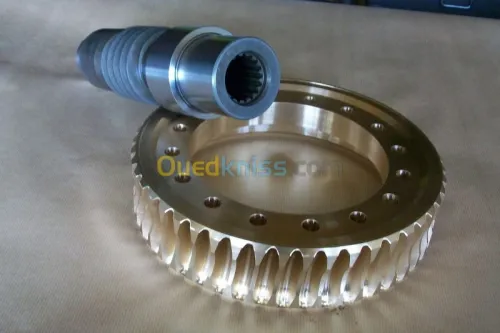 Frisage et Taillage des pignons