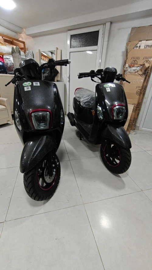 Vms Coxi 2025