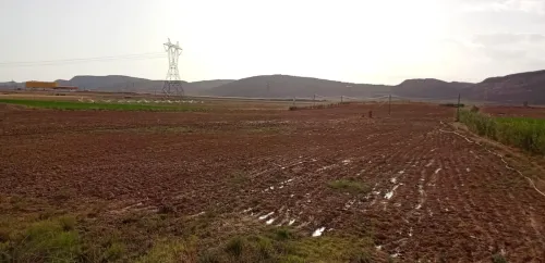 Vente Terrain Agricole Djelfa Ain el ibel