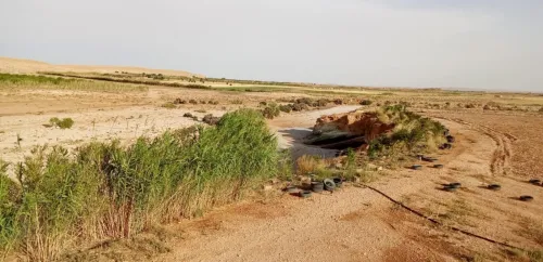Vente Terrain Agricole Djelfa Ain el ibel