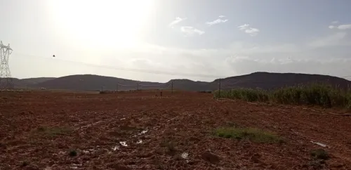 Vente Terrain Agricole Djelfa Ain el ibel