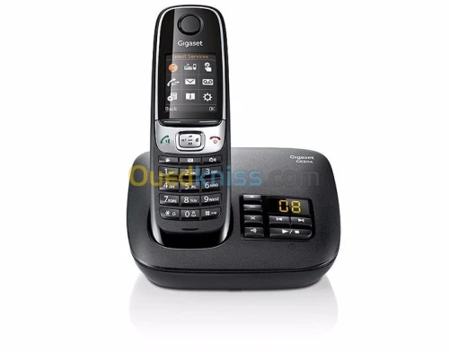 GIGASET C620A (SIEMENS)