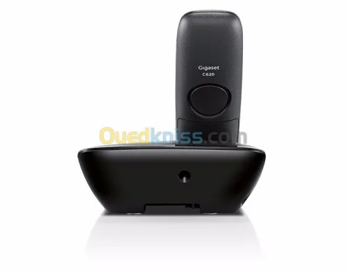 GIGASET C620A (SIEMENS)