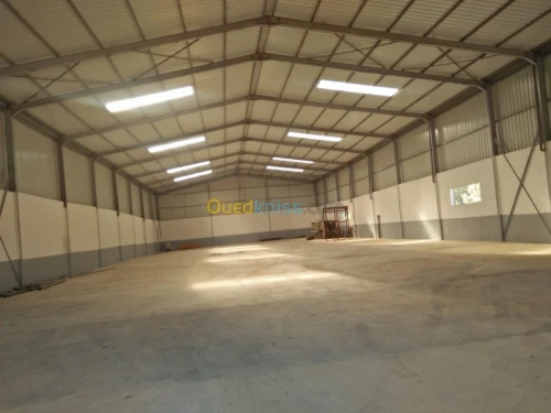 Location Hangar Alger Cheraga