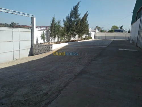 Location Hangar Alger Cheraga