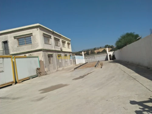 Location Hangar Alger Cheraga