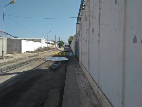 Location Hangar Alger Cheraga