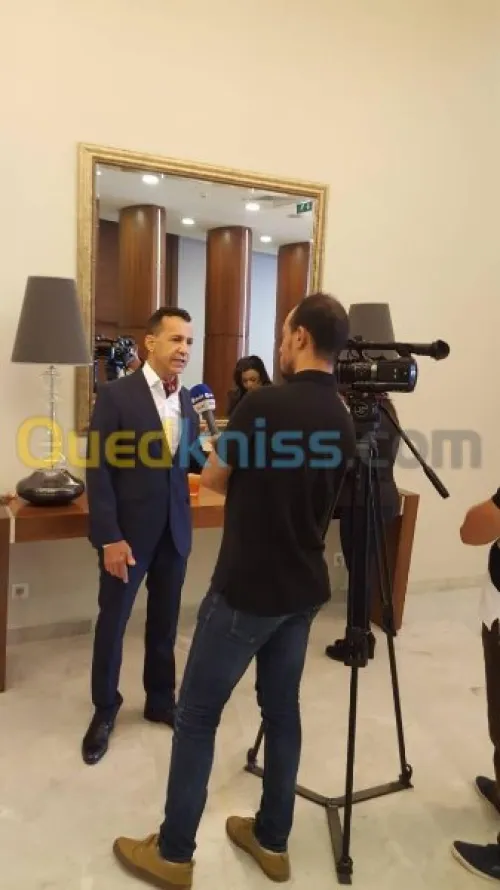 Consultant marketing alger