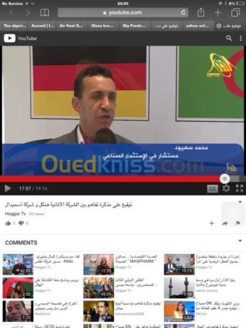 Consultant marketing alger