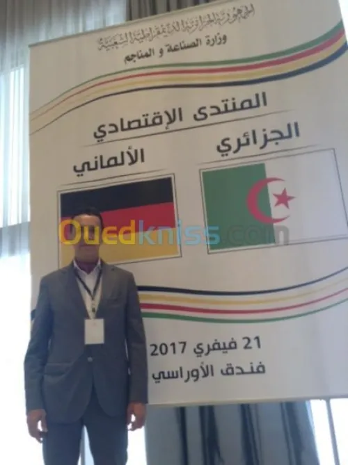 Consultant marketing alger