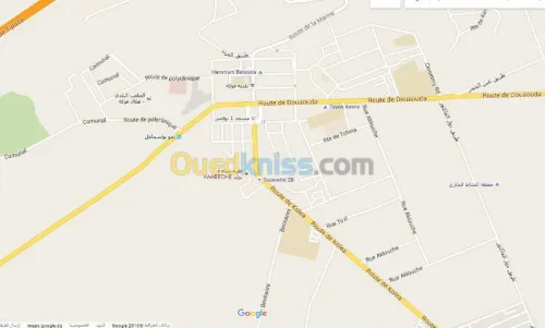 Médecine spécialiste en Gynéco-Obstétr