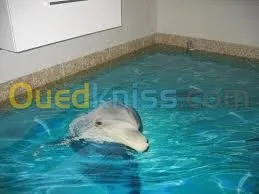 école privé agrée par l'etat