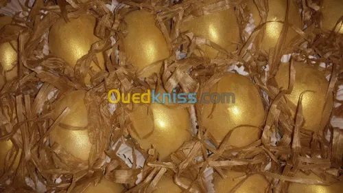 Organisatrice de Mariage 